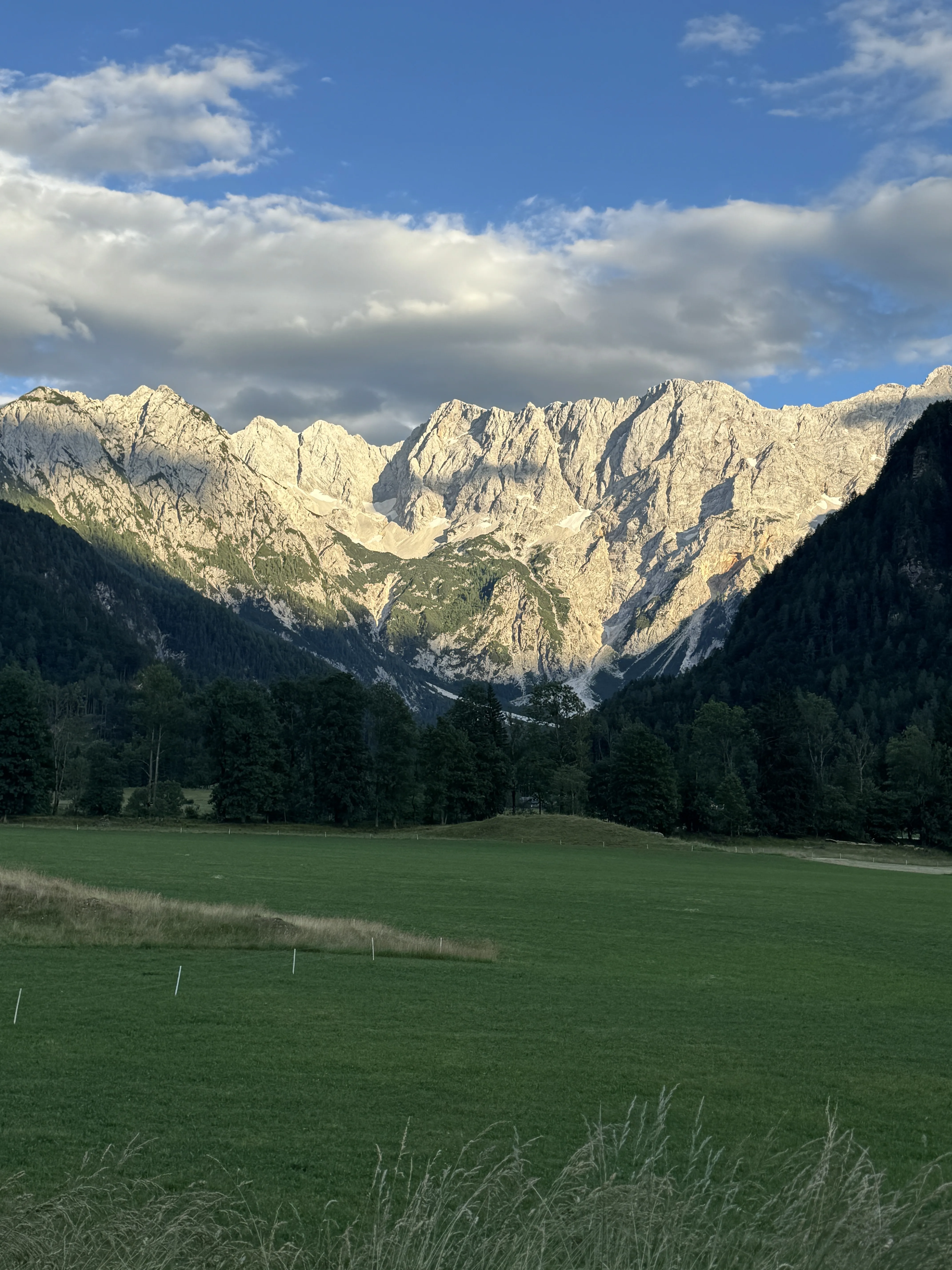 Alpine panorama